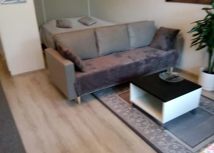 Parantolankatu Modern One Διαμέρισμα